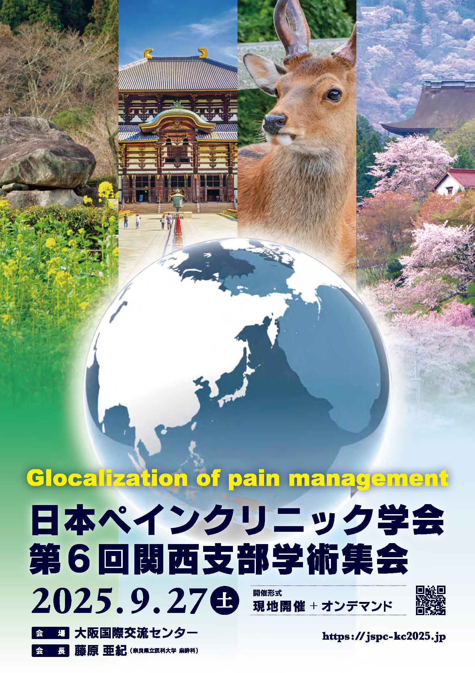日本ペインクリニック学会第6回関西支部学術集会ポスター